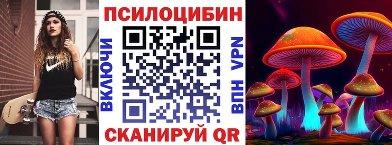 Псилоцибиновые грибы мухоморы  цены   кракен как зайти  Купино 